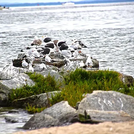 Am Stettiner Haff Ueckermünde
