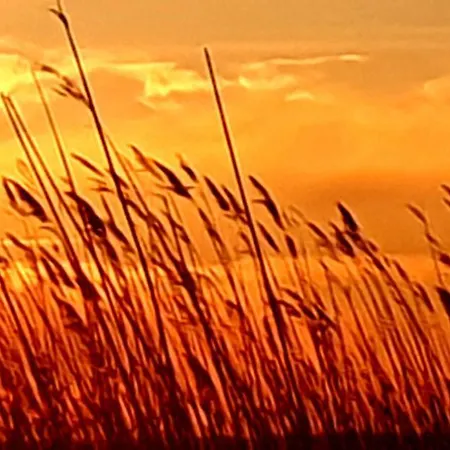 Pensjonat Am Stettiner Haff