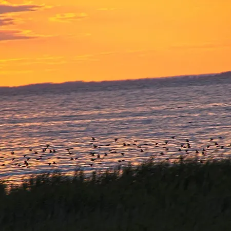 Pensjonat Am Stettiner Haff